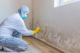 Best Environmental Consulting for Mold Prevention  in Clairton, PA