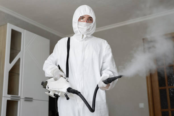 Mold Documentation for Insurance Claims in Clairton, PA